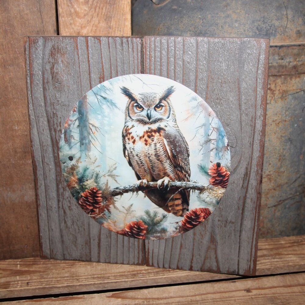 NEW Rustic Distressed Winter Woodland Owl Farmhouse Wall Decor Plaque